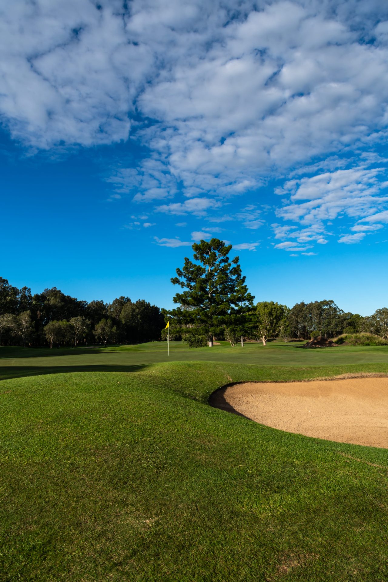 delaware park casino golf course